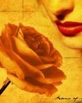 pic for Yellow Rose